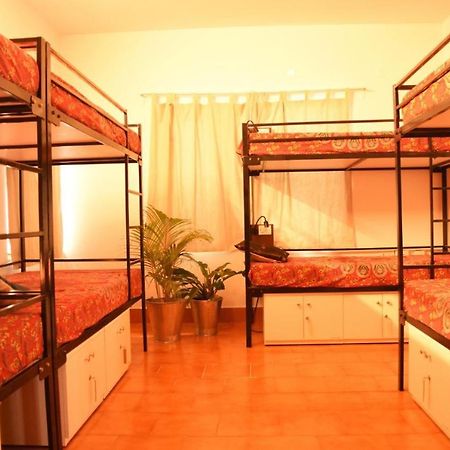 Be Animal Hostel バンガロール エクステリア 写真